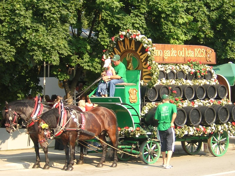Blumen und Bier Festival in Laško